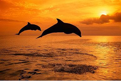 外媒The Verge称已验证Switch 2真机：可信度很高