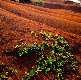 《潜渊症》终于登陆Epic，同时展开发行商折扣促销，高达90%的折扣！