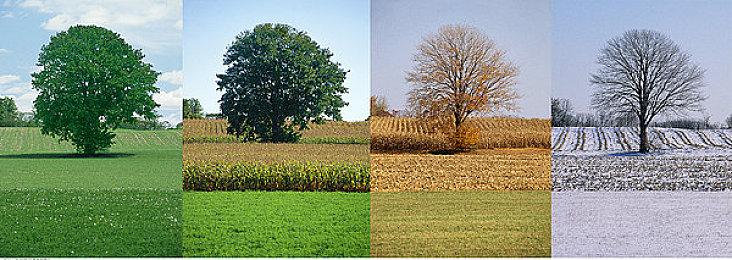 Switch《灵活脑学校》公开新宣传片 伊藤美诚、水谷隼挑战篇